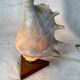 Vintage shell and teak lamp