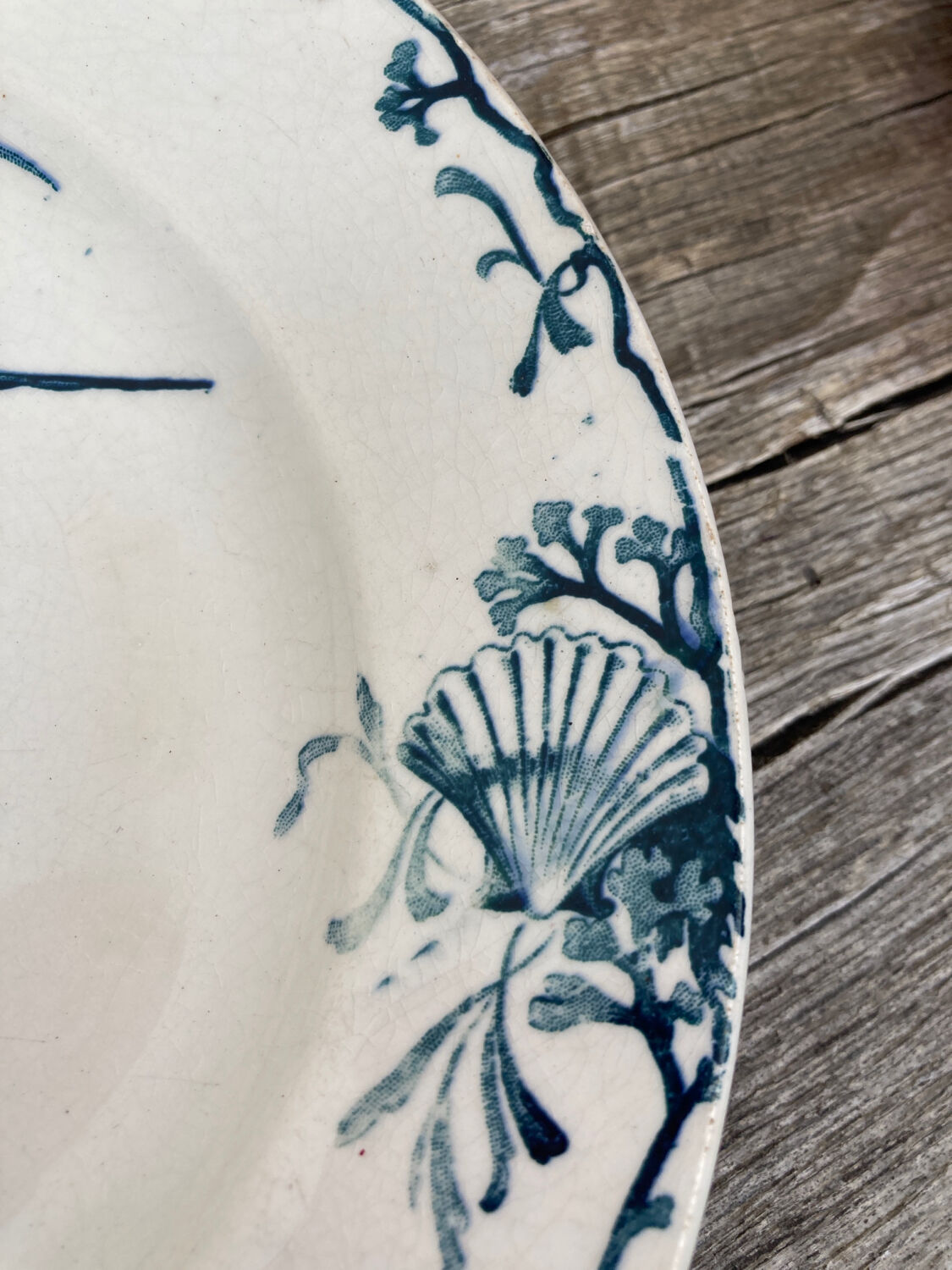 Iron earth plate Gien patterns seagulls and shell old mural