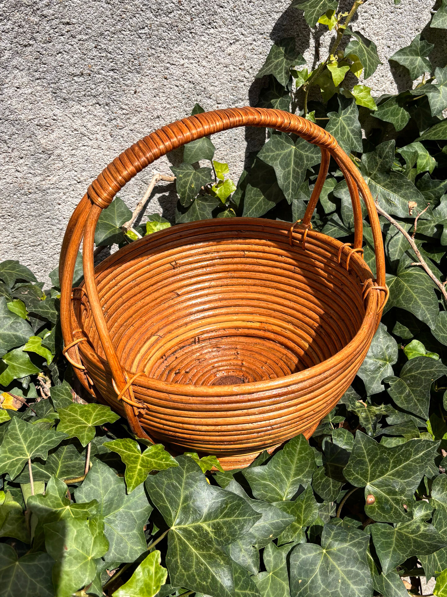 Rare wrapped rattan basket, in the style of Gabriella Crespi / Vivai del Sud.