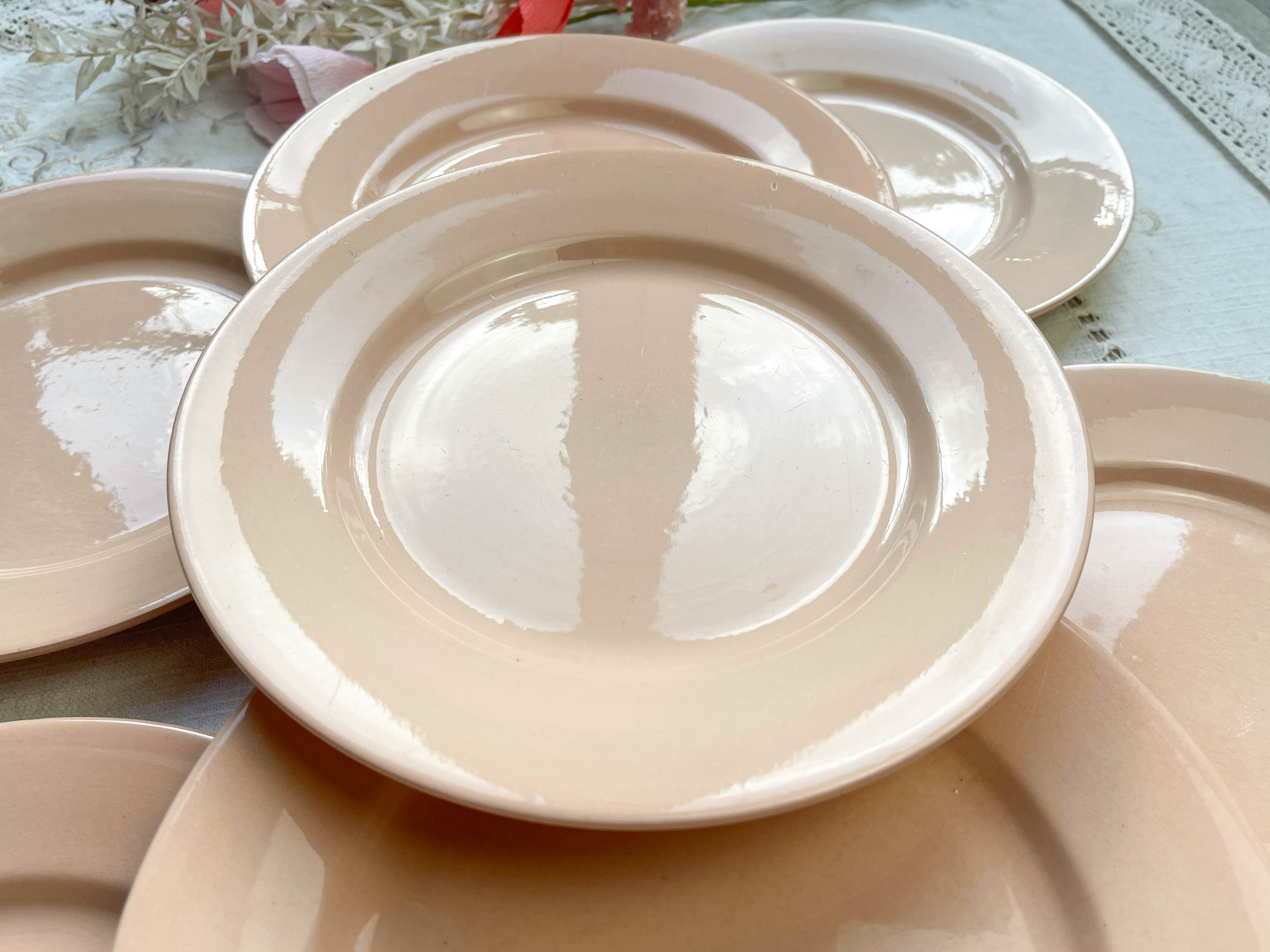 7 Flat plates Rose Digoin Sarreguemines