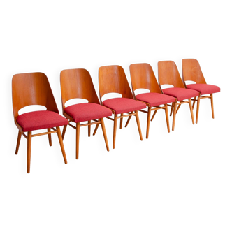 Chaises de salle à manger vintage par Radomír Hofman, années 1960, ensemble de 6