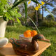 Duck antique painted wooden jewelry box