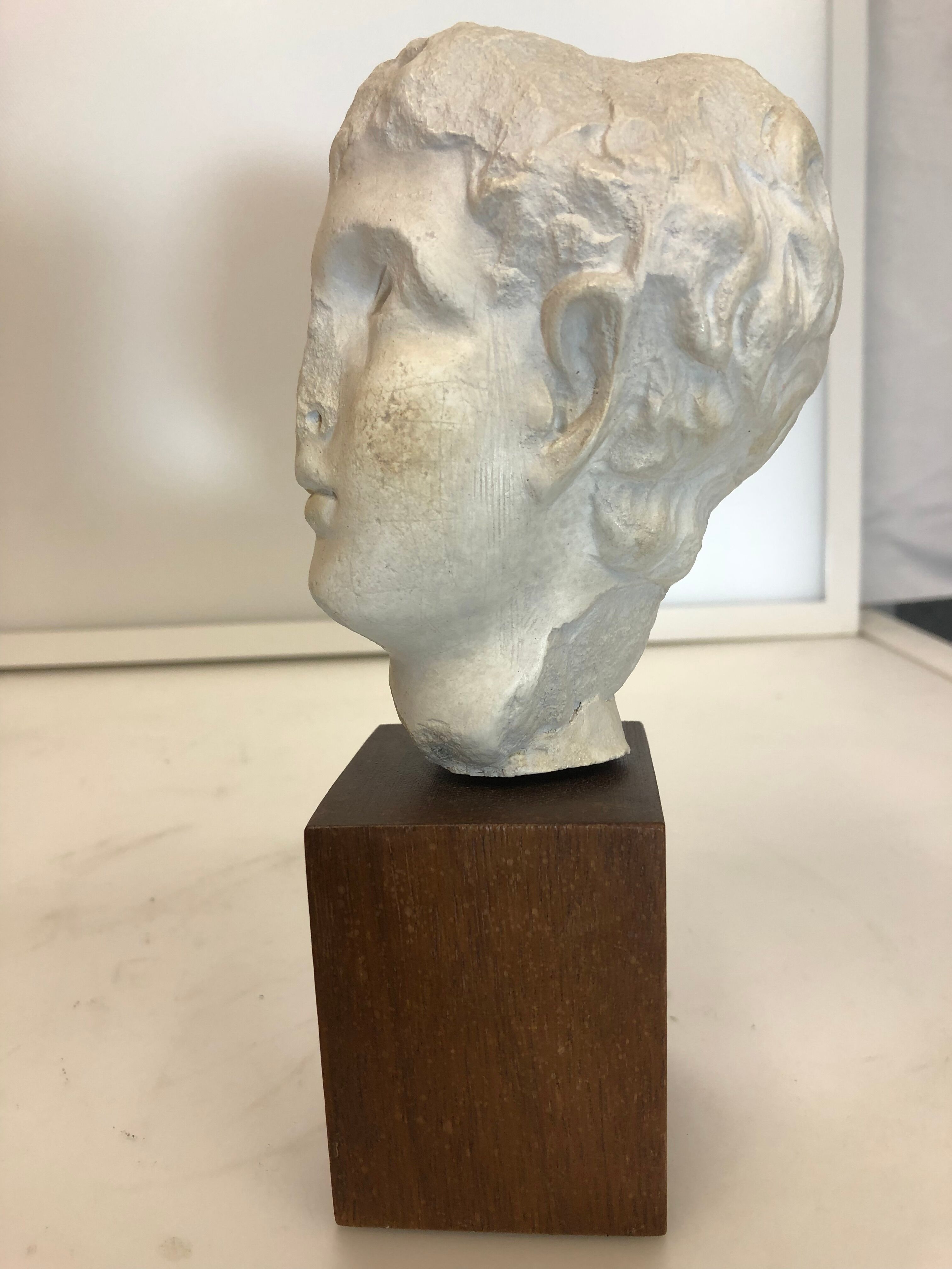 Statue bust roman man