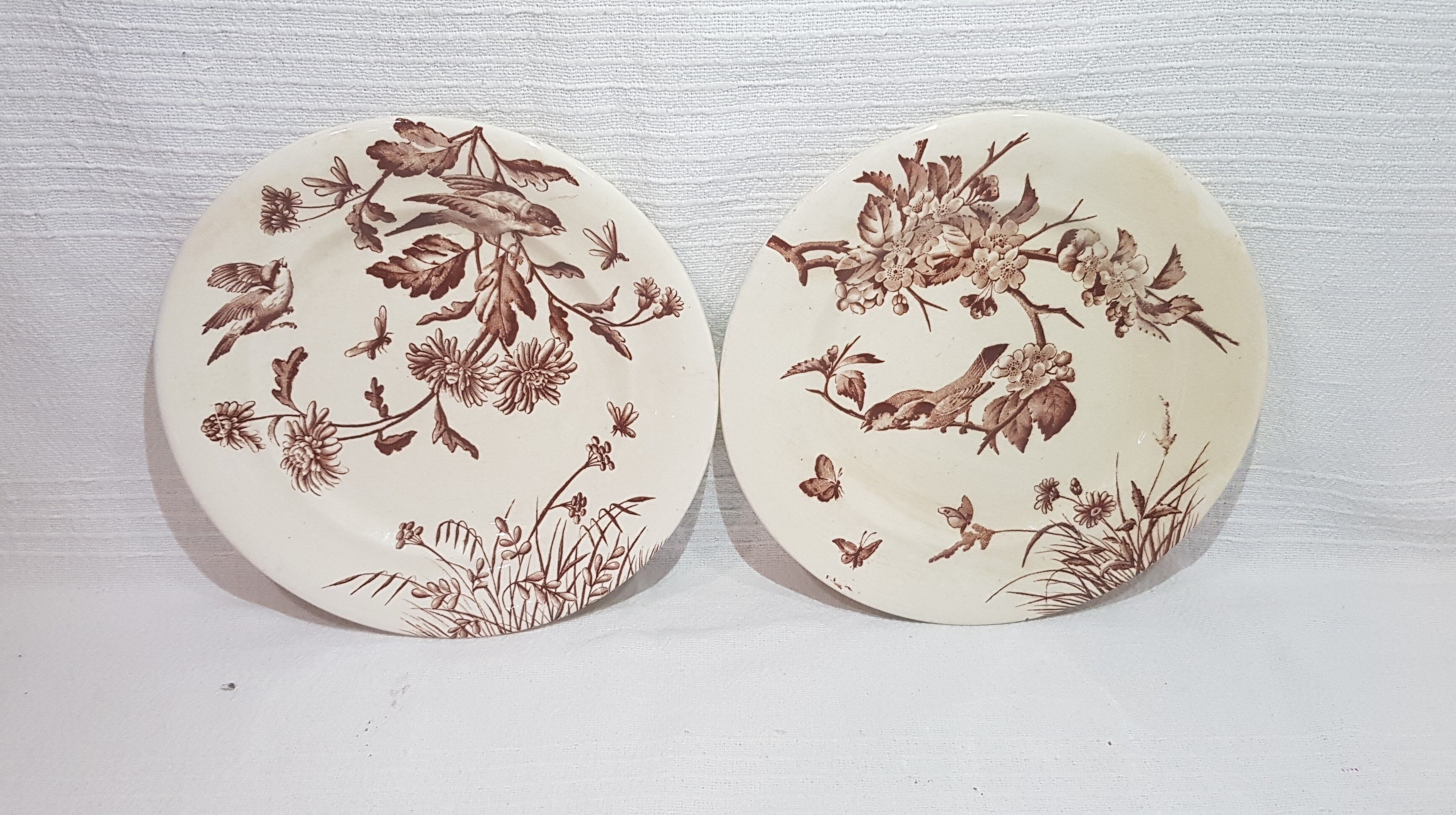 Set of 4 flat plates in Clairfontaine earthenware model Flowers, iron earth