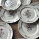 Set of 10 flat plates Villeroy & Boch – bucolic design – 24.5 cm