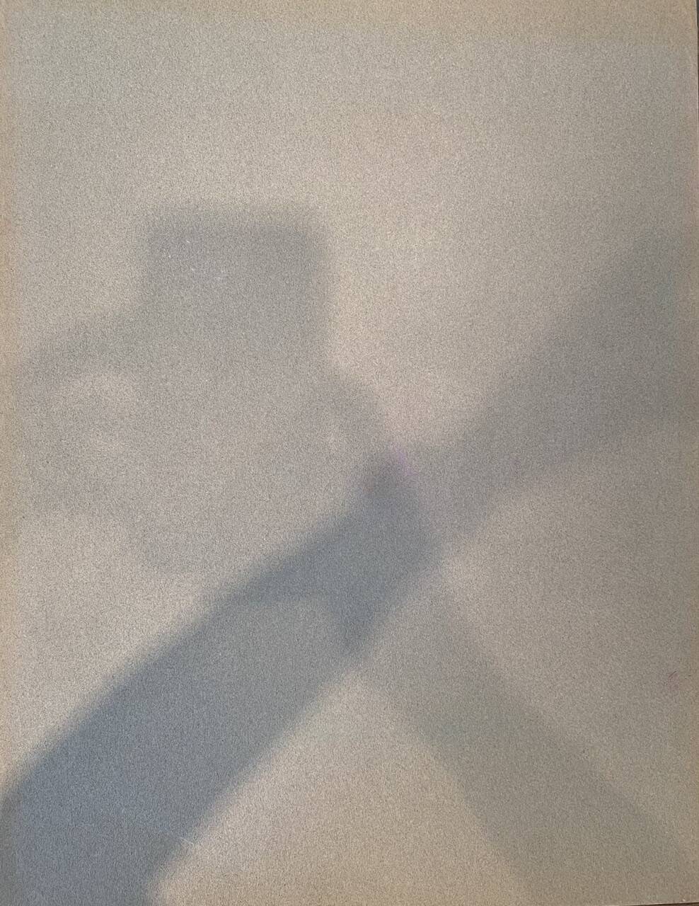 Nature morte aux soucis par Salomon de 1979