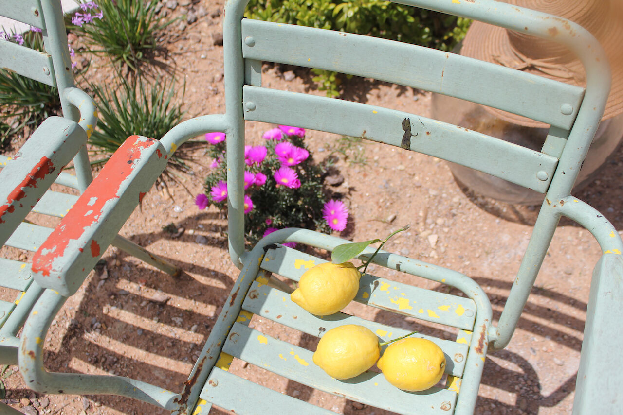 Paire de fauteuils de jardin vintage