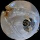 Mazzega wall light in Murano glass