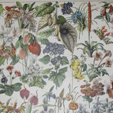 Engraving • Flowers and greenhouse plants • Original lithograph from 1898