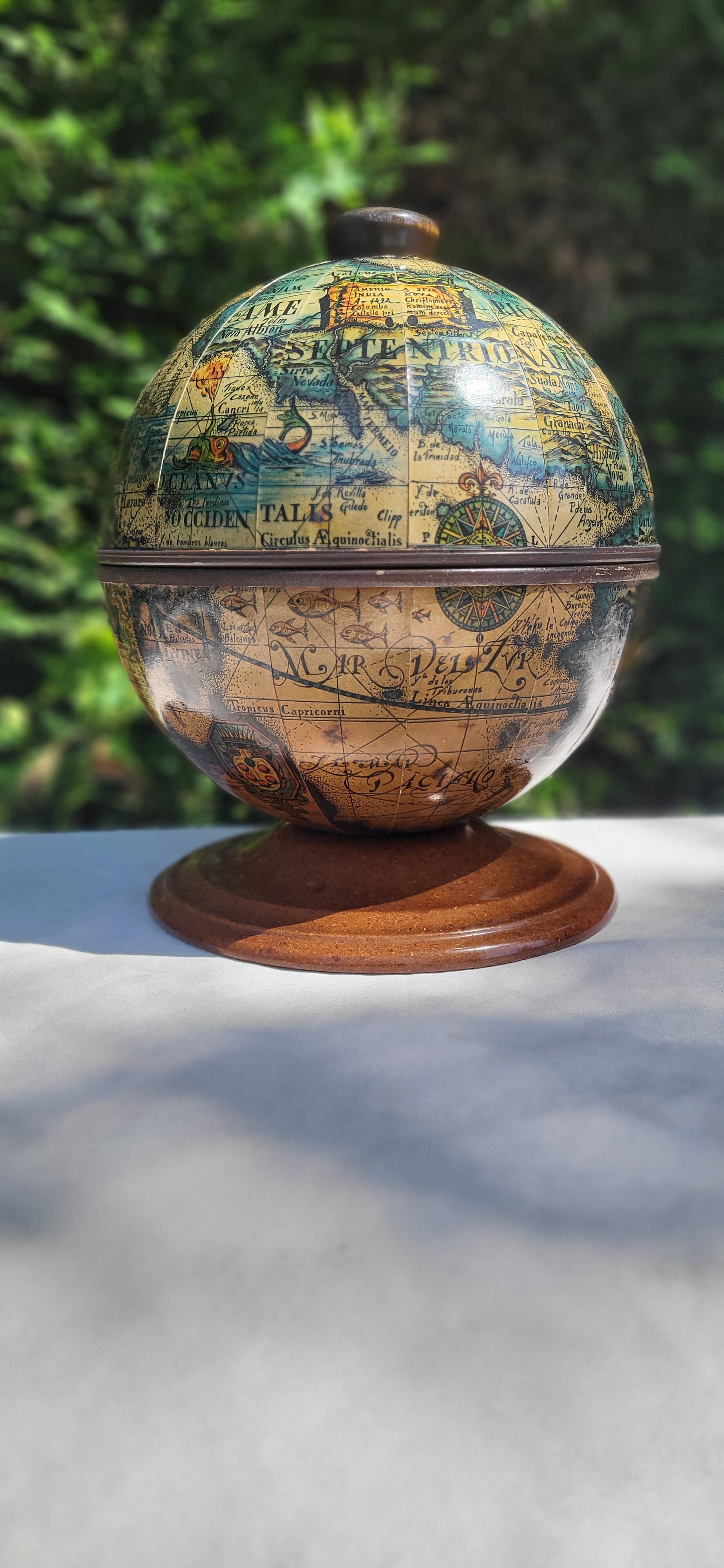 Globe terrestrial ice cubes