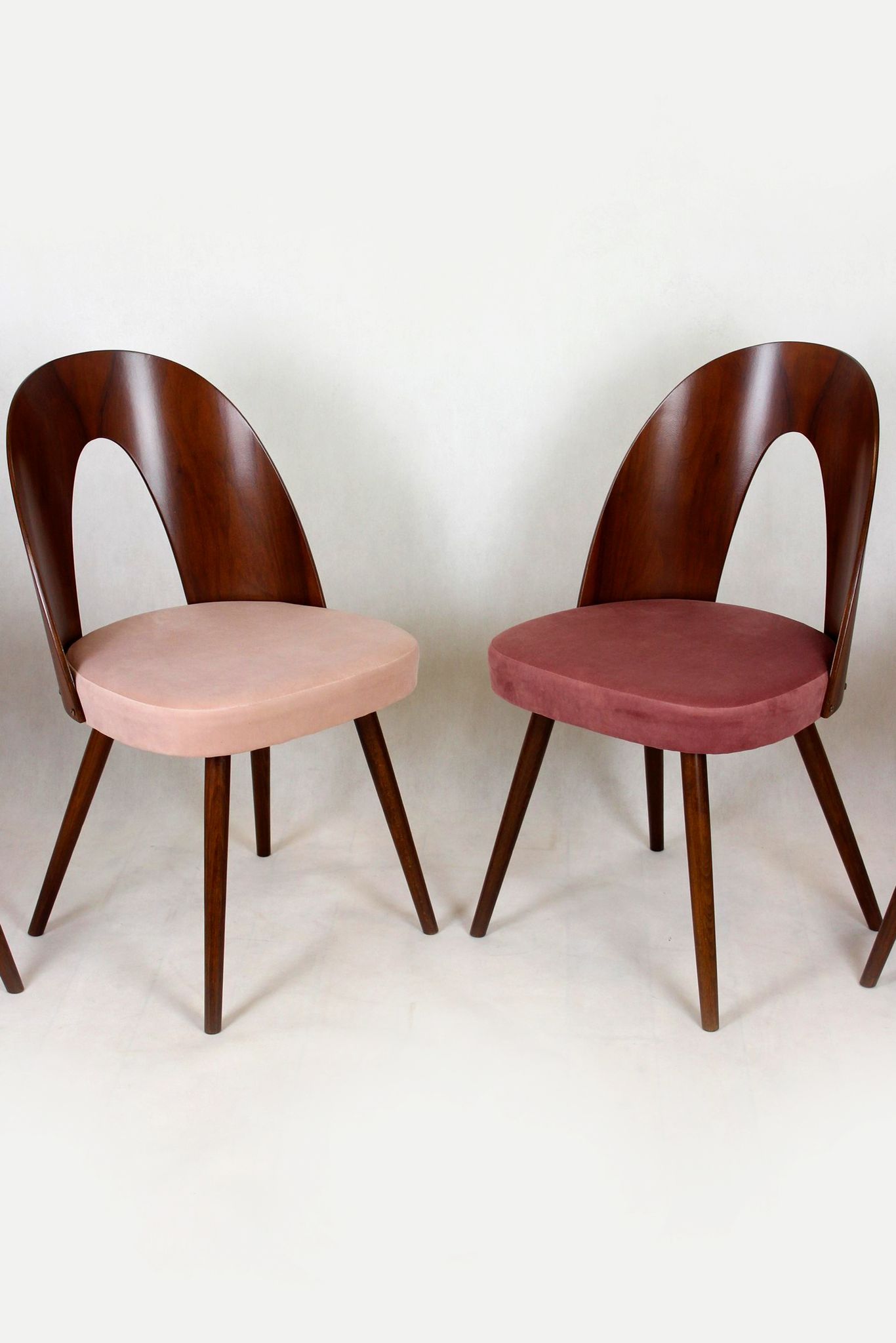 Chaises de salle à manger par Antonin Suman, années 1960