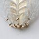 Set of 2 Taormina, Elegant Murano Wall Light Transparent Leaves, 1970