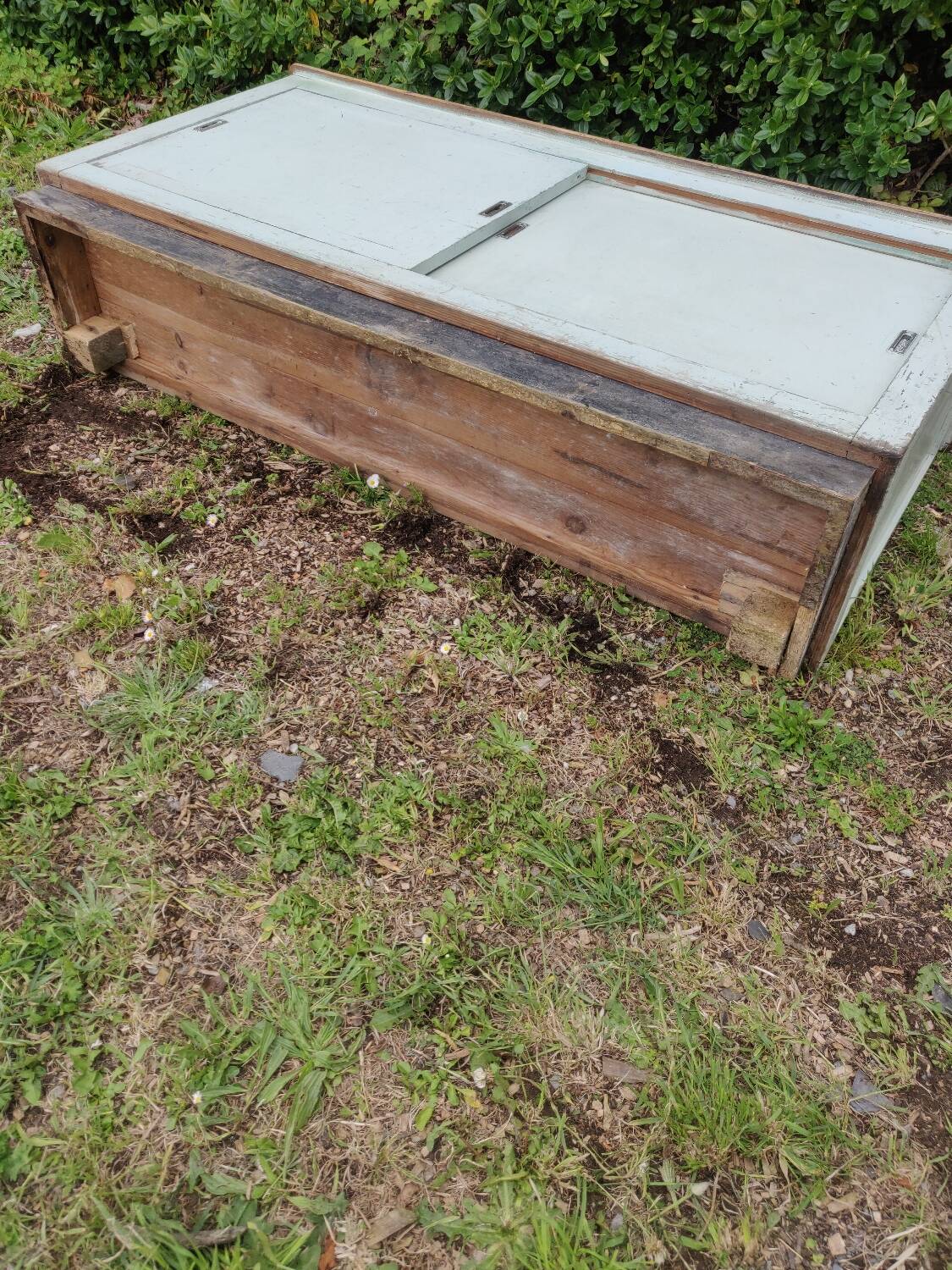 Buffet de vieux bistrot années 60