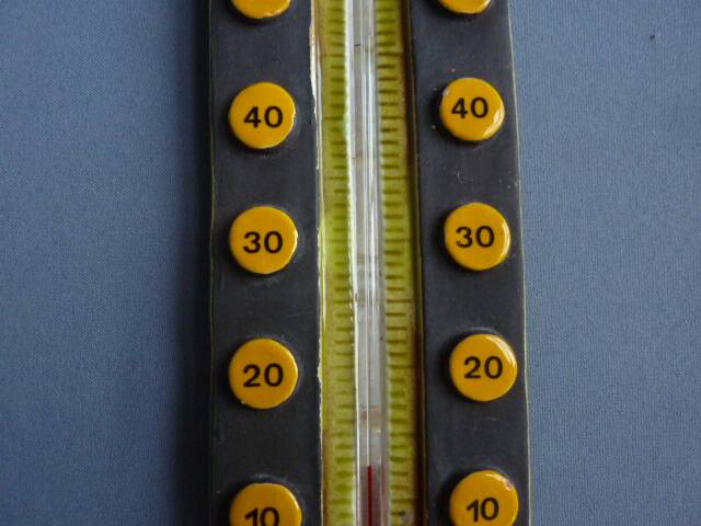 Thermometer with a scales