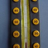 Thermometer with a scales