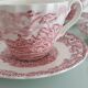 Myotts Country Life Set of 6 Cups and Saucers - England