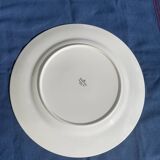 5 large vintage royal bone china dinner plates