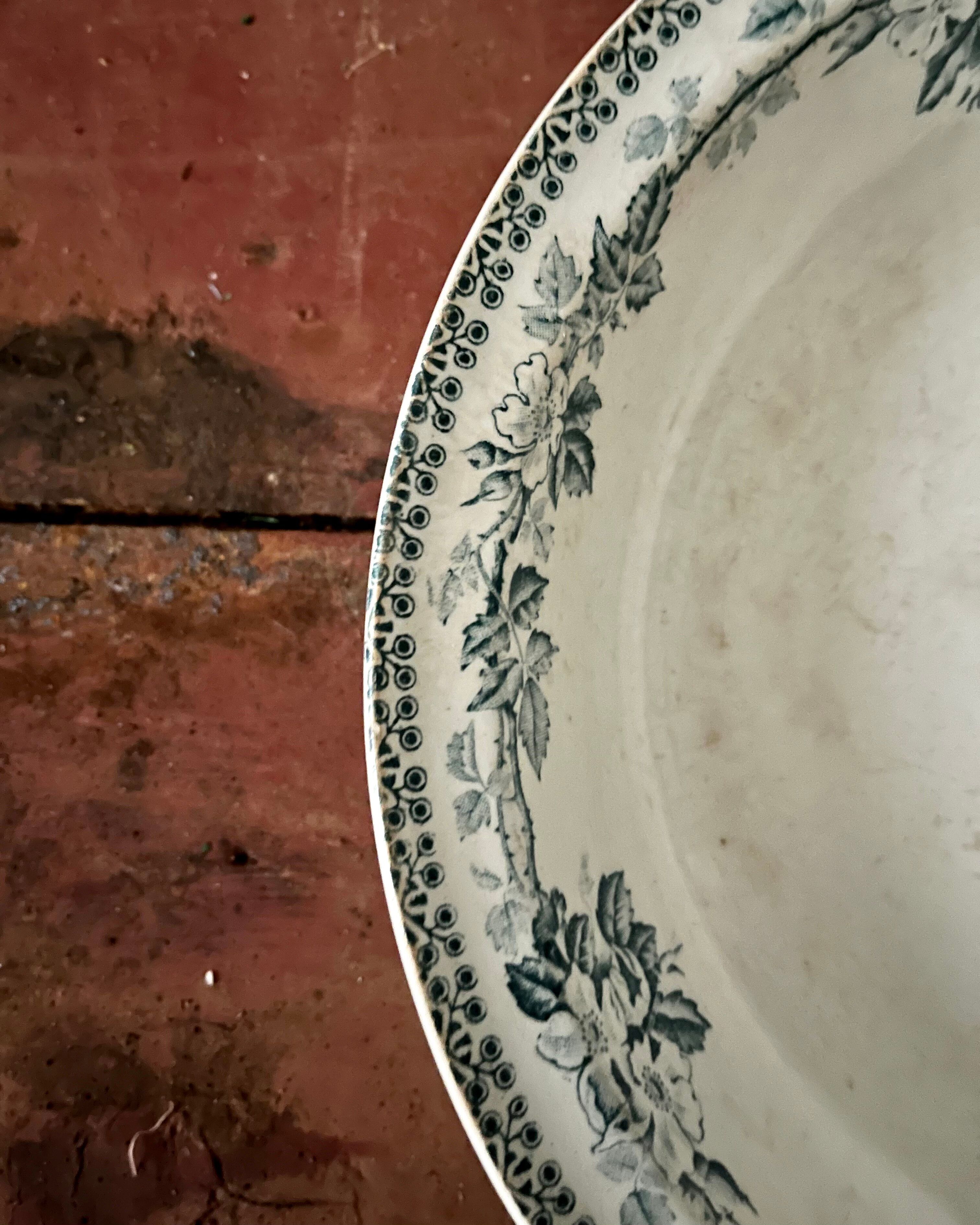 Shallow round plate from Saint Amand ironstone.