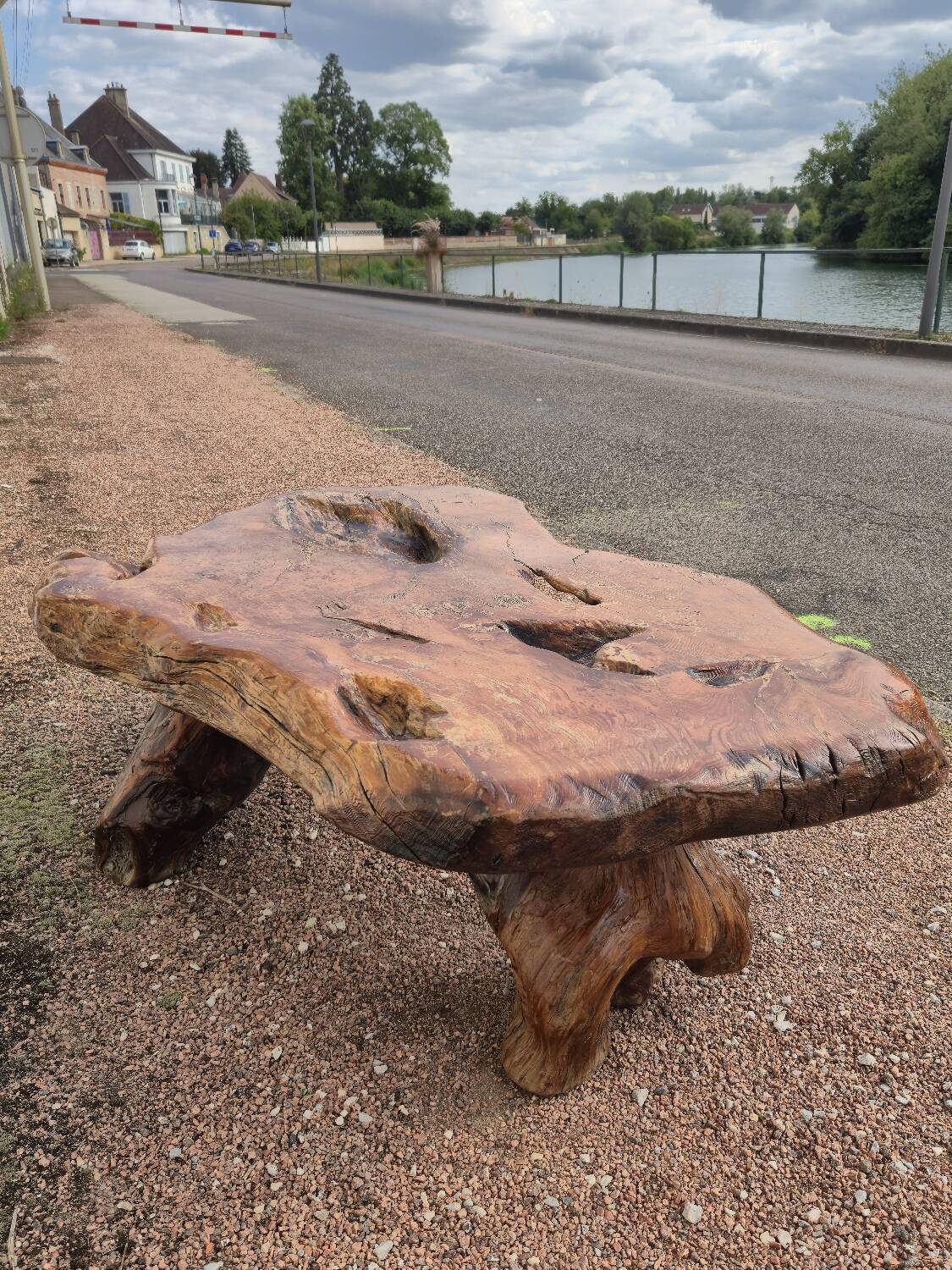 Brutalist coffee table made from solid elm tree trunk, 1950s