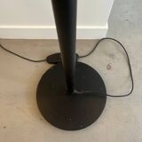 Nestore Terra XXL f