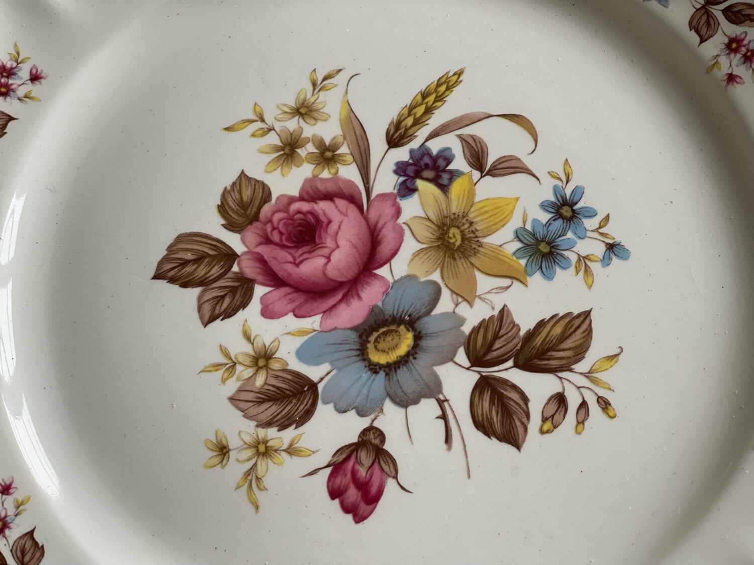 5 dessert plates Orchies Moulin des Loups