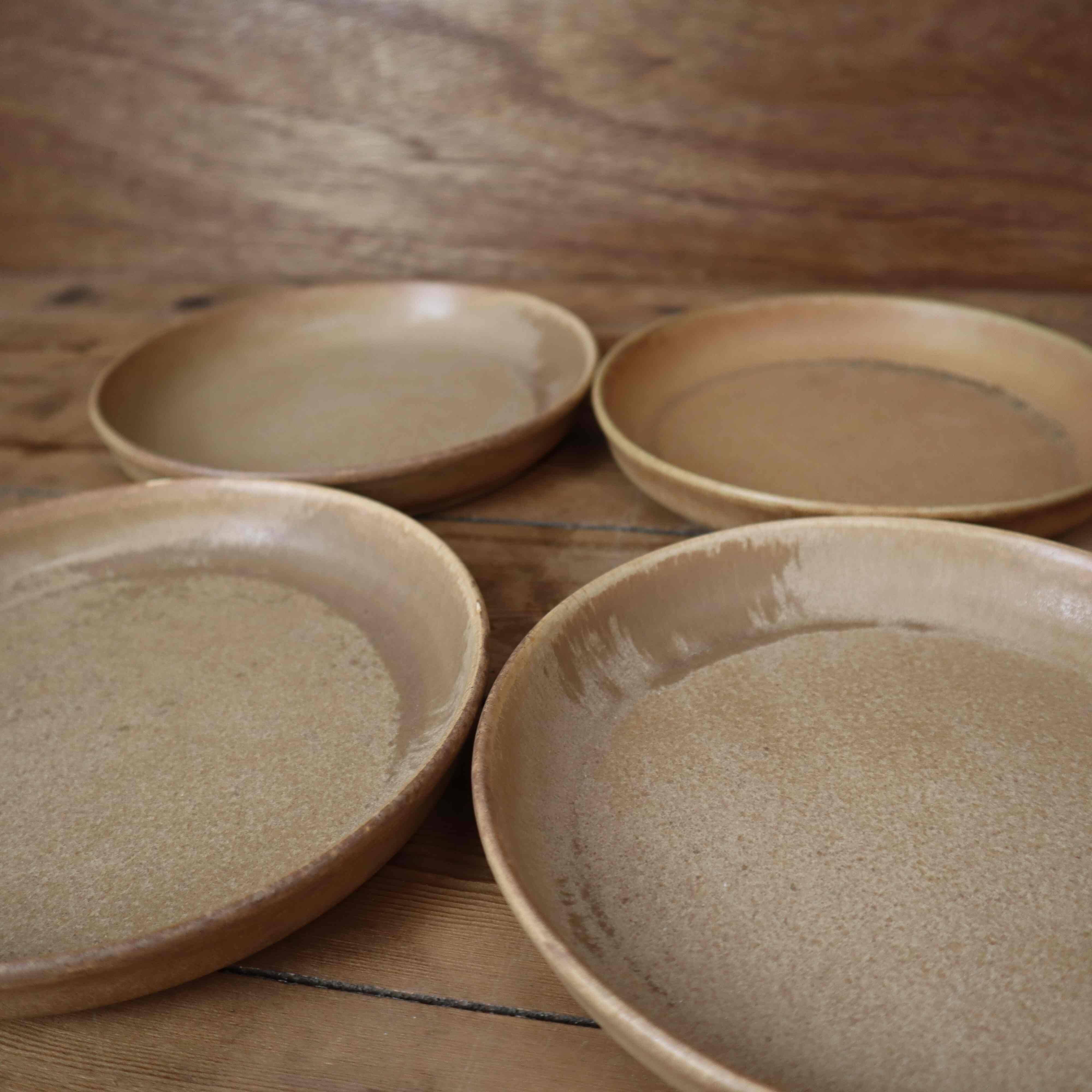 6 stoneware rimmed dinner plates