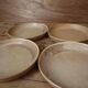 6 stoneware rimmed dinner plates