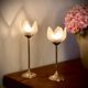 Pair of tulip-shaped candle holders in frosted glass and brass.