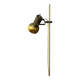 Vintage brass floor lamp with adjustable spot
