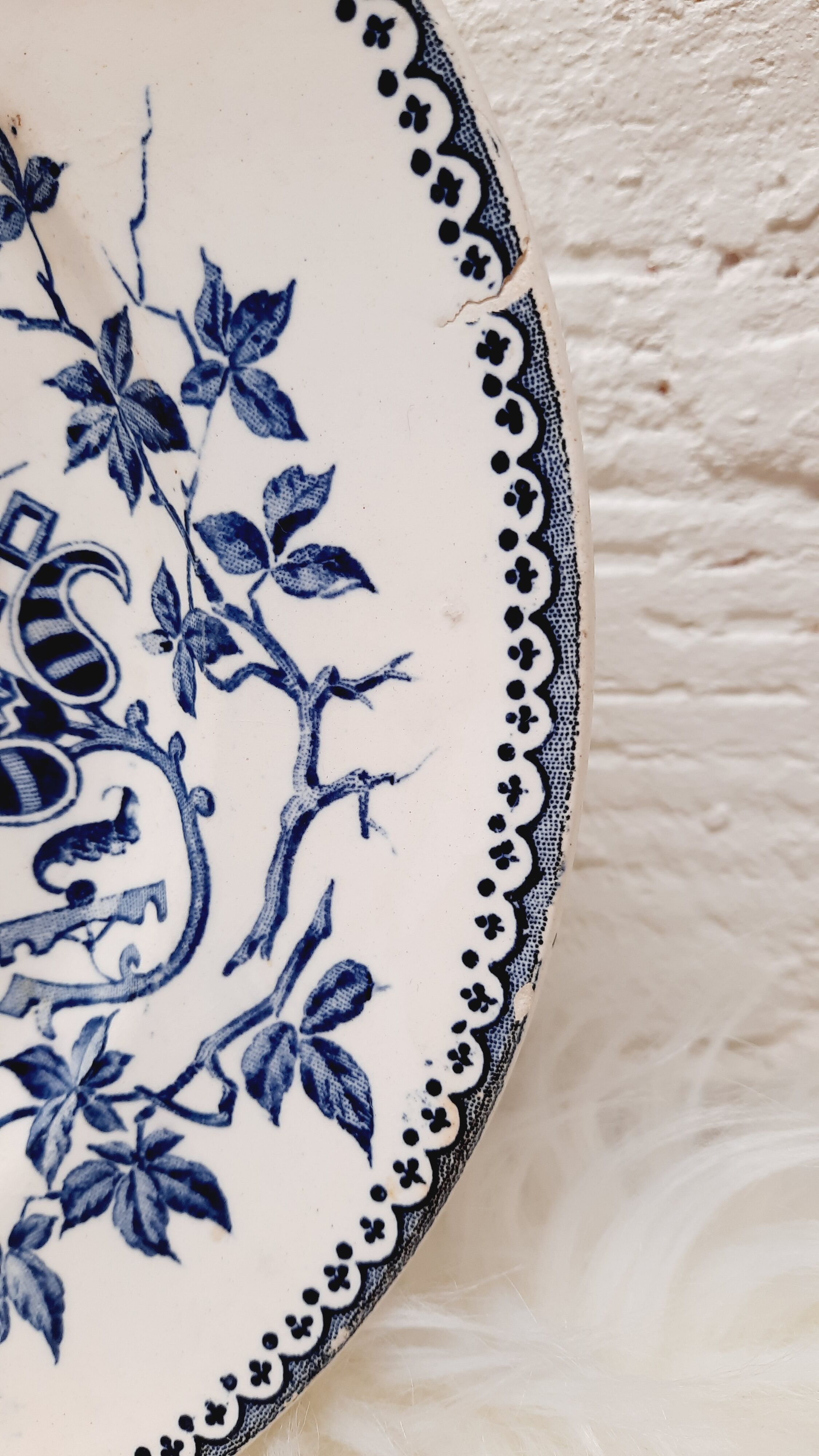 Compotier Terre de fer Perruche