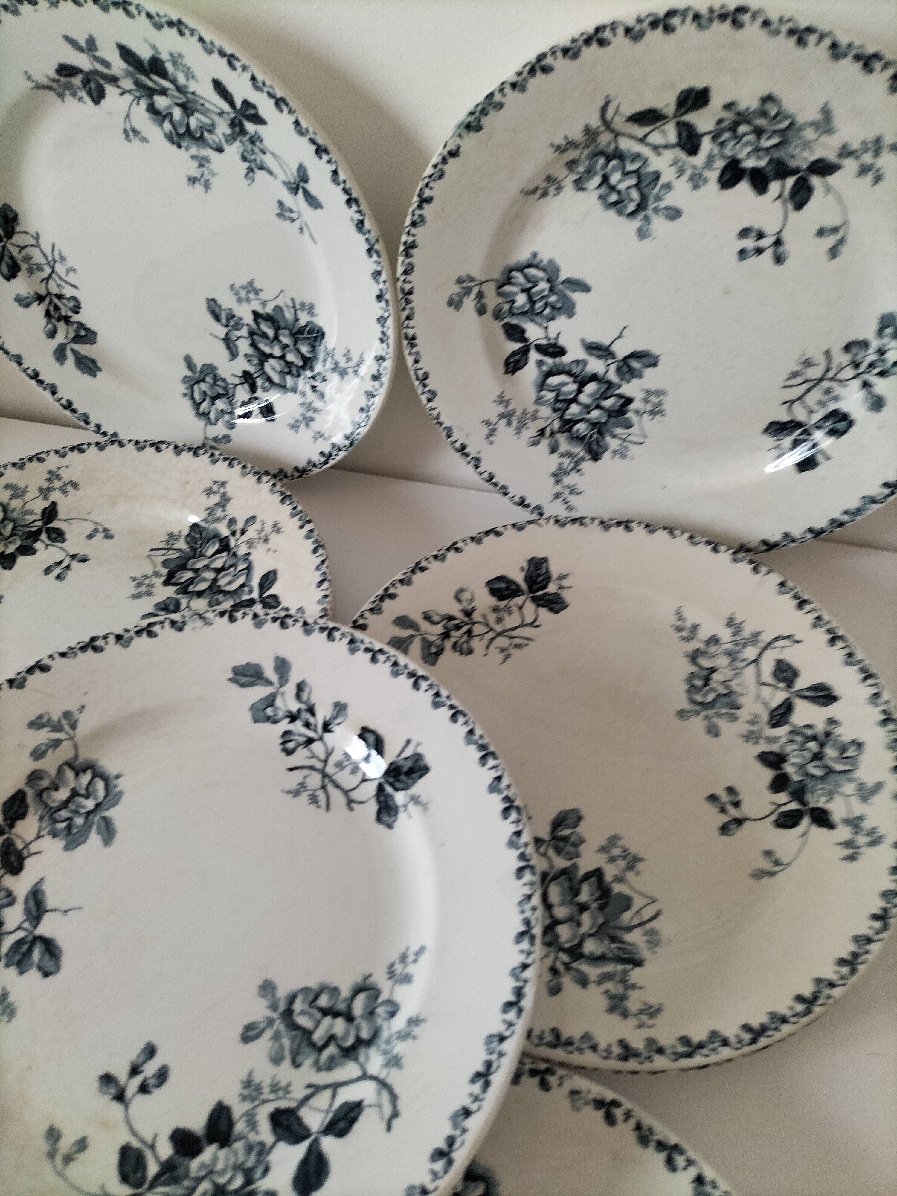 Set of 10 ironstone plates Moulin des Loups Acacia