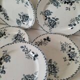 Set of 10 ironstone plates Moulin des Loups Acacia