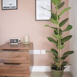 Paire de tables de nuit en bois