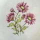 Lot de 6 assiettes creuses