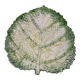 Vintage Signed GV Ceramic Barbotine Cabbage Leaf
