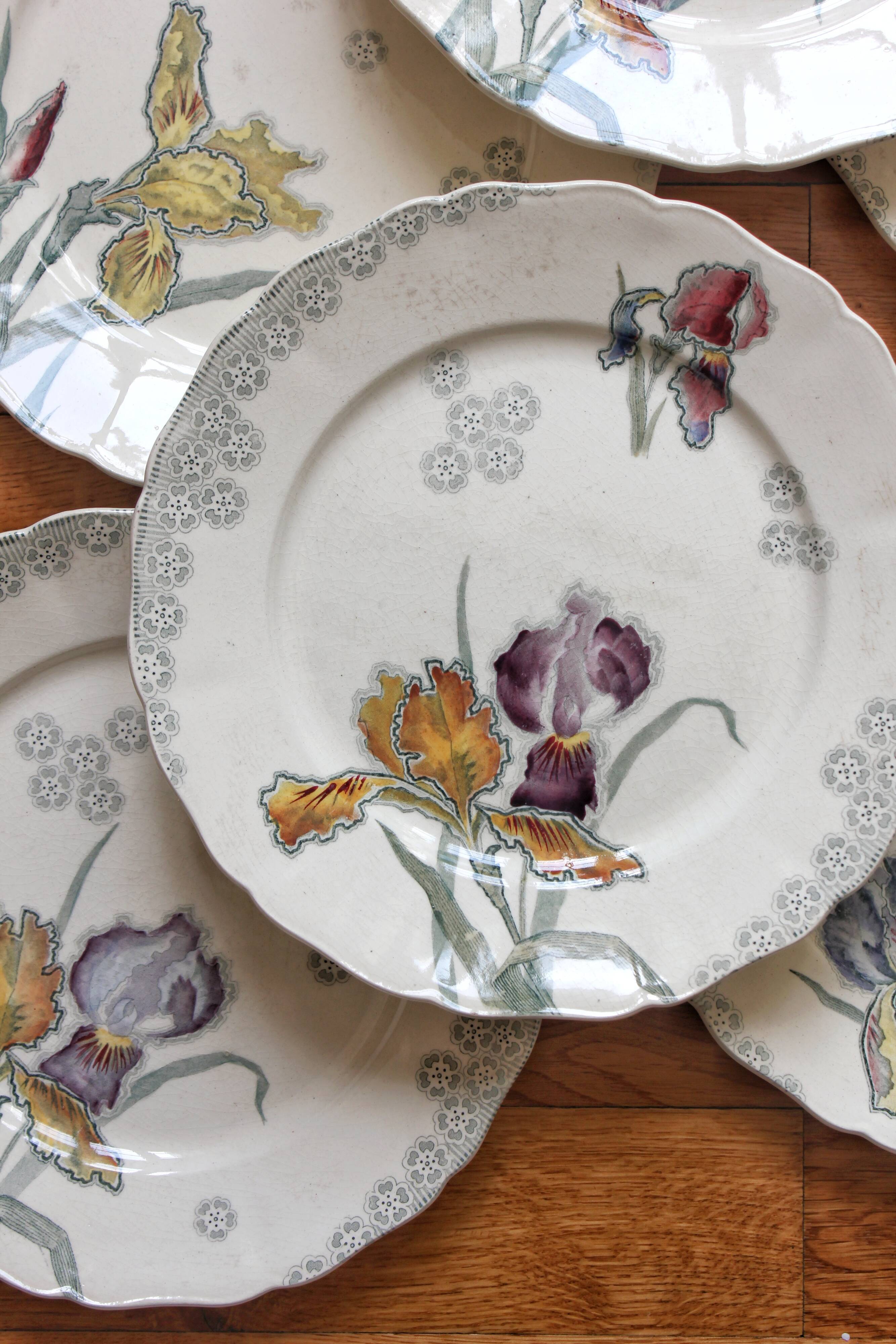 6 large flat plates in polychrome iron earth model "Iris" Choisy-le-Roi