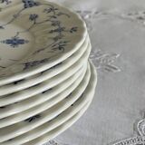 8 English dinner plates
