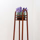 Curved wooden pedestal base - plant stand attributed to Jacob & Josef Kohn, 1890s