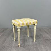 Pair of Medallion Armchairs in Louis XVI Style with Footrests, 20th Century