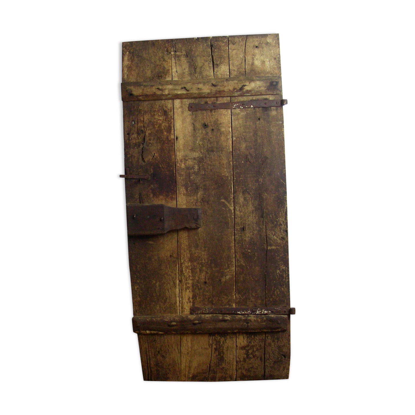 Old oak of cellar door