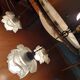 art nouveau chandelier, alabaster shells, molded glass and bronze