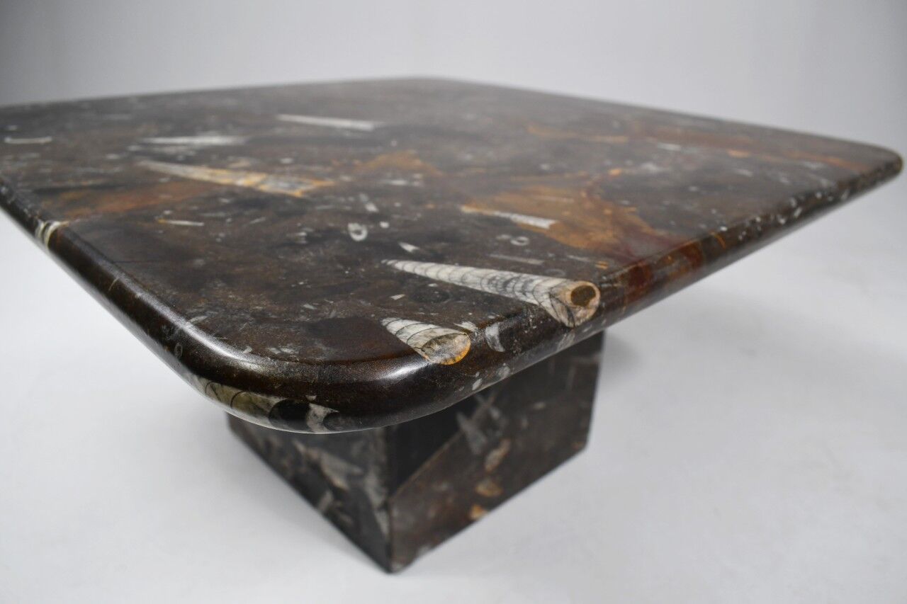 Small vintage fossilised coffee table, 1970s.