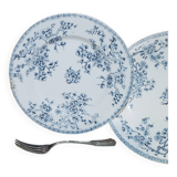 Set of 6 flat plates from the Gien earthenware factory, Fleurette model, iron earth