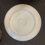 Pair of decorative plates 19th