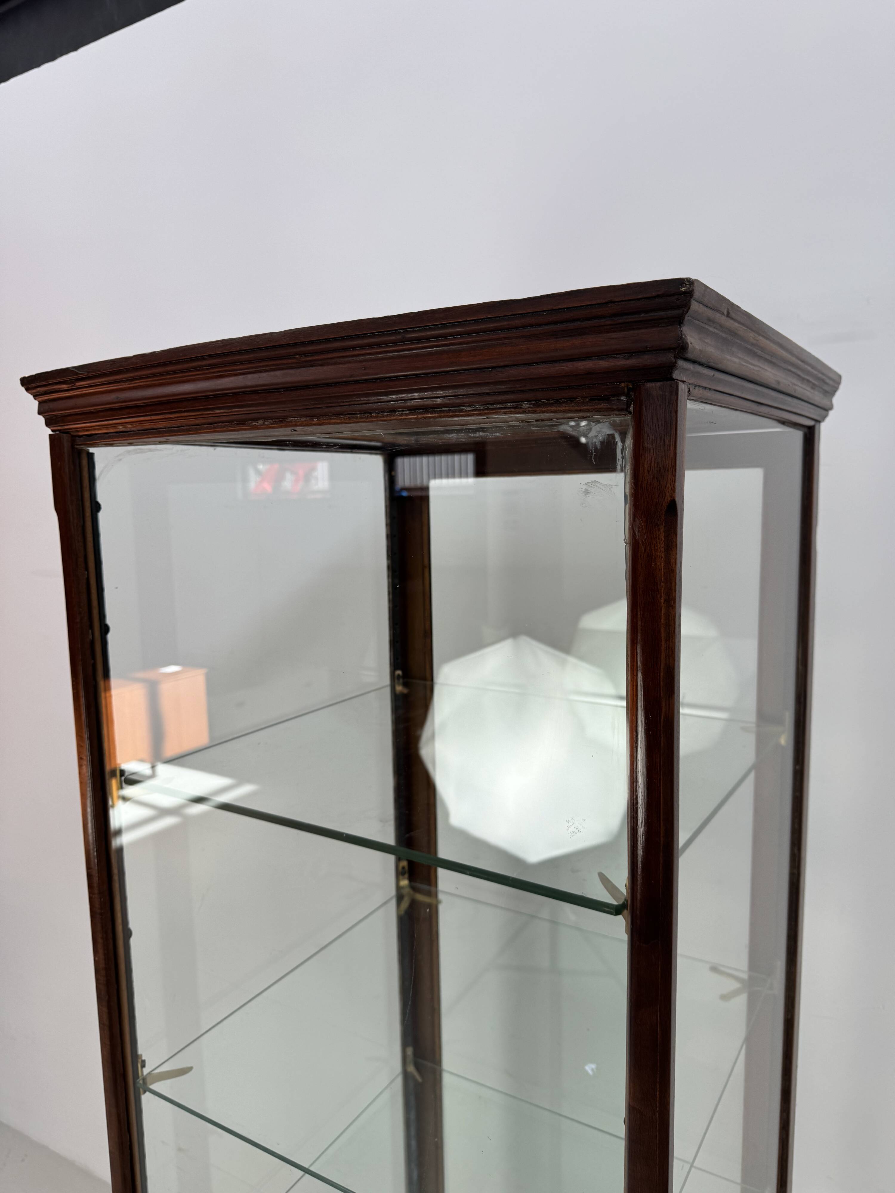 Beautiful mahogany museum display cabinet from England, circa 1925.
