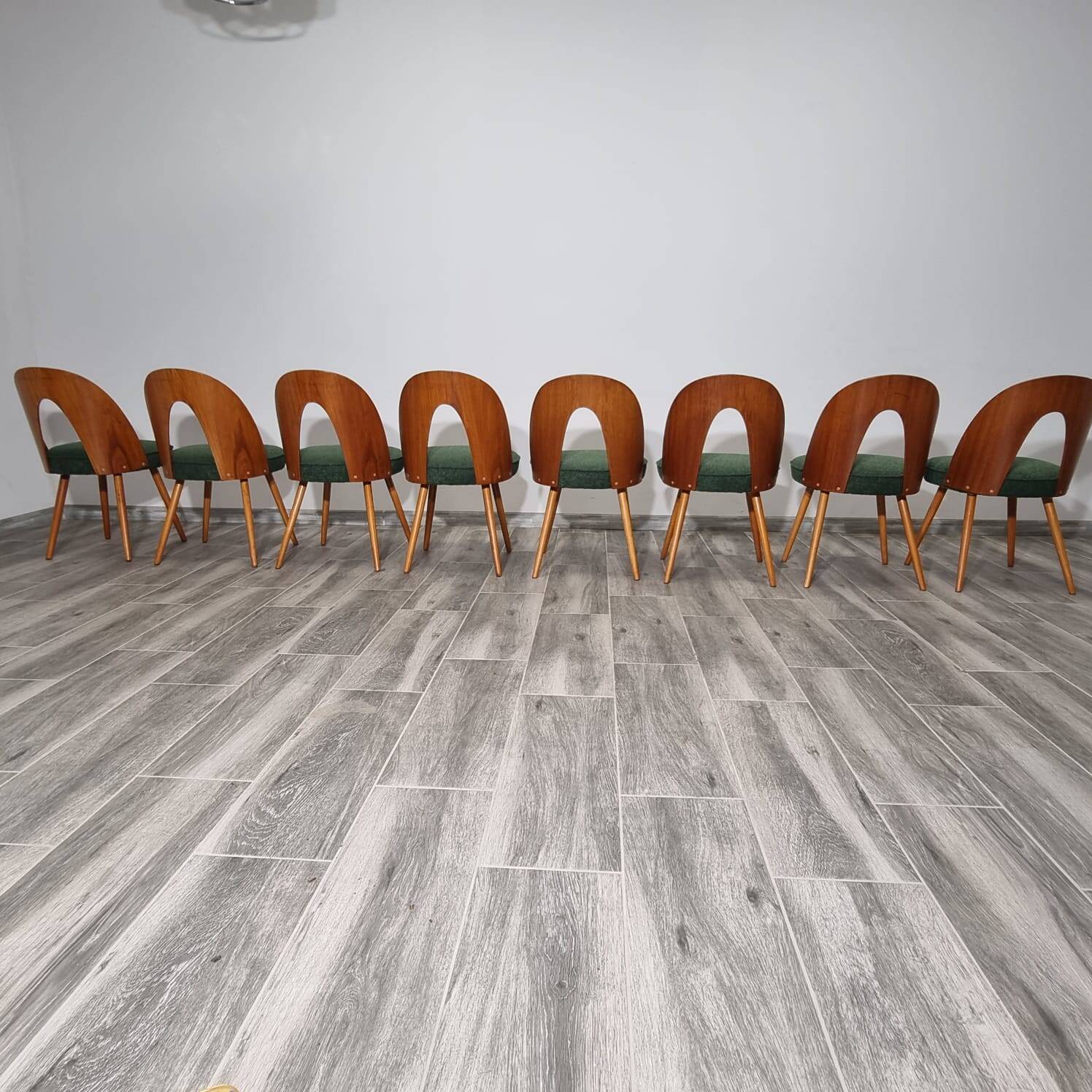 Dining Chairs by Antonin Suman, 1960s, Set of 8