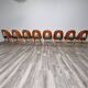 Dining Chairs by Antonin Suman, 1960s, Set of 8