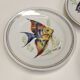Fish porcelain service