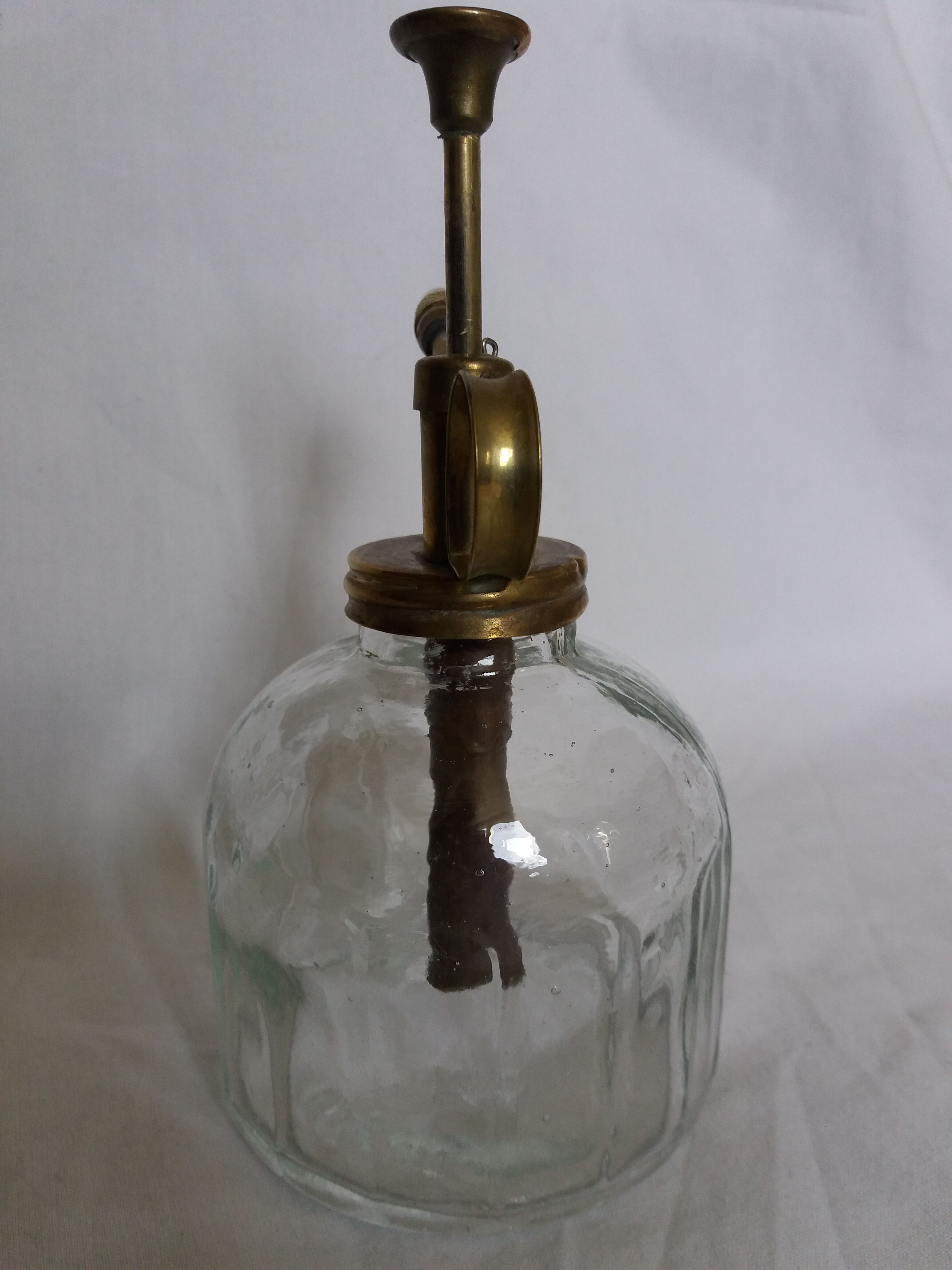 Glass and brass plant spray