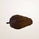 Ensemble de fruits décoratifs en bois sculpté